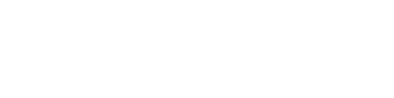 Smartin